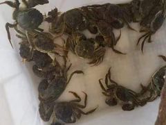 -阳澄湖大闸蟹·琼灵阁牌品牌连锁(吴中总店)