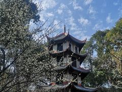 -成都杜甫草堂博物馆