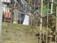 -世界洞漂之王老虎谷漂流