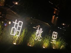 -胡桃里乐队酒馆(鎏嘉码头店)