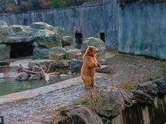 -宁波野生动物园