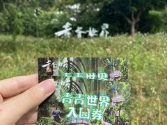 -青青世界