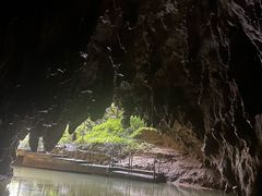 -怀托摩萤火虫洞