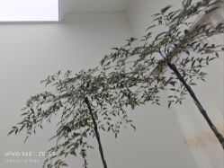 -HEYAN荷妍专业脱毛连锁机构