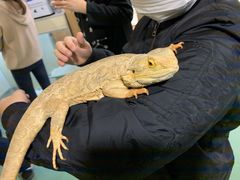 -藦茜花园宠物主题亲子互动体验馆(国顺东路店)