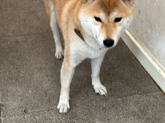 -三目仓咖啡(贤南路店)