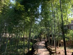 -许家山