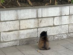 -莲湖公园