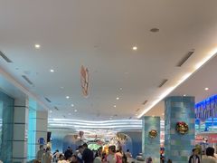 -帝企鹅自助餐厅•儿童岛•真企鹅(长隆企鹅酒店)