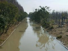 -上海长兴岛郊野公园