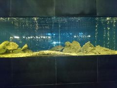 水产区-融荟家和中餐厅(三亚海棠湾九号度假酒店)