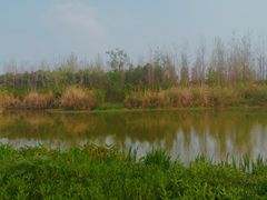 -白鹭湾湿地公园