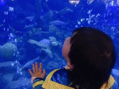 -成都浩海立方海洋公园