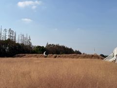 -嘉北郊野公园