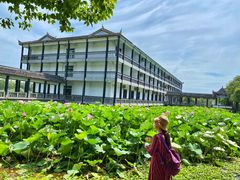 -洪湖生态旅游区