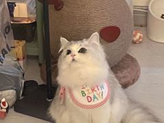 -Win Win电玩·日式の游戏馆