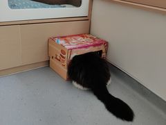 -柏萃动物医院·骨科·牙科