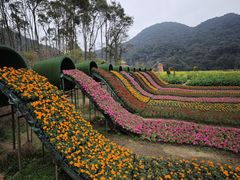 -广州市石门国家森林公园
