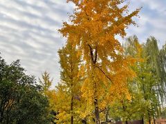 -西安汉城湖景区