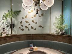 -鲜潭蒸汽石锅鱼(五道口购物中心店)
