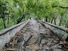 -阳台山自然风景区