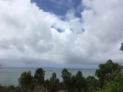 -广东惠东海龟国家级自然保护区