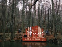 -波尔登森林公园