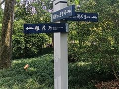 -上海醉白池公园