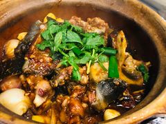 -金龙·打边炉(南京西路店)