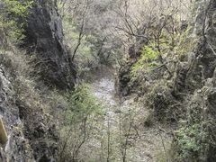 -塔云山