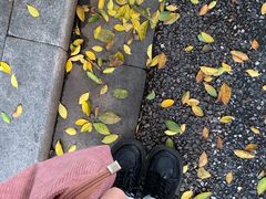 -烈士陵园(地铁站)