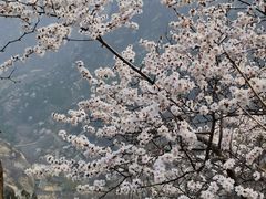 -北京凤凰岭