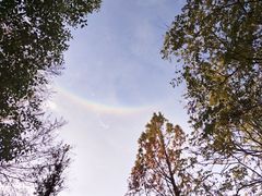 -合肥三国新城遗址公园