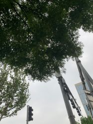 -HEYAN长风荷妍专业脱毛美肤
