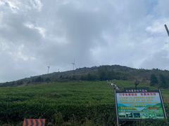 -东白山