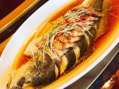 刀版香蒸大黄鱼-碧丽宫大酒店(召稼楼店)