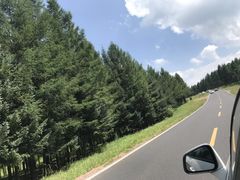 -塞罕坝国家级自然保护区