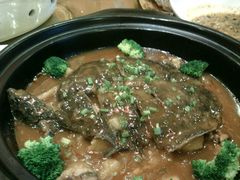 土豆焖甲鱼-西北印象佳宴(兴华街中段店)