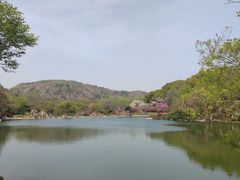 -白马涧龙池景区