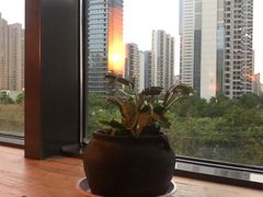 -瓦库茶馆17号(海汇港店)