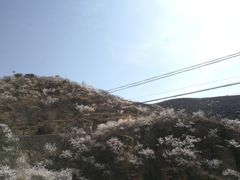 -妙峰山风景名胜区