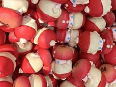 -泡泡玛特POPMART(赛格国际购物中心店)
