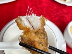 -蛇口康乐快餐鱼仔档(翠苑小区店)