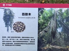 -中国科学院西双版纳热带植物园