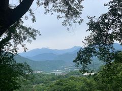 -都江堰景区
