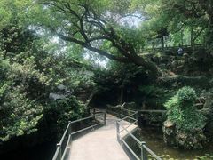 -北山街历史文化街区