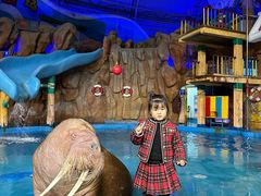 -烟台海昌鲸鲨海洋公园