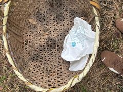 -马陆小张葡萄园农家乐