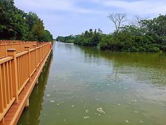 -大湾区中央湿地公园