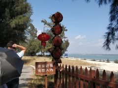 -北海金海湾红树林生态旅游区